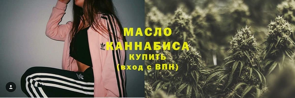 мдпв Вяземский