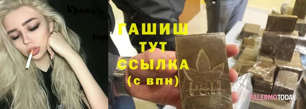 мдпв Вяземский