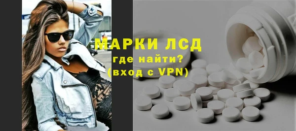 мдпв Вяземский