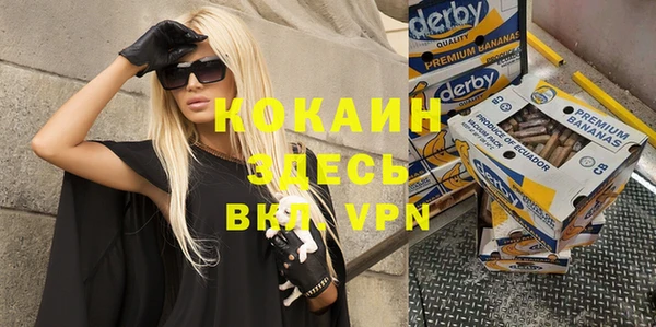 мдпв Вяземский