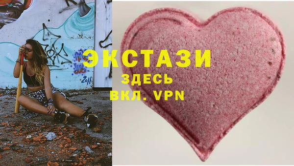 мдпв Вяземский