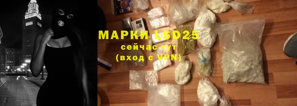 мдпв Вяземский