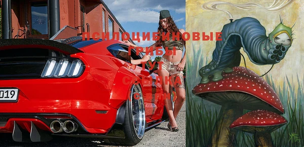 мдпв Вяземский