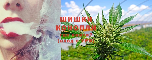 мдпв Вяземский