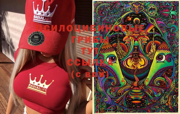 мдпв Вяземский