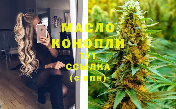 мдпв Вяземский