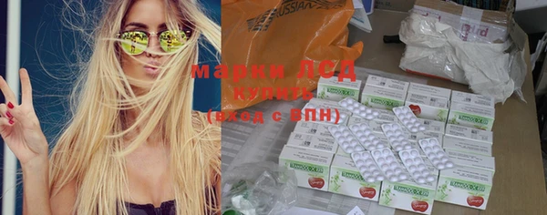 мдпв Вяземский