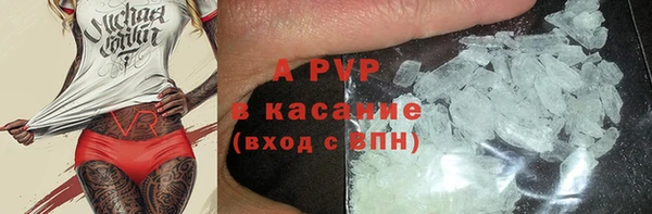 мдпв Вяземский